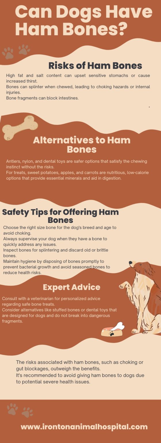 can-dogs-have-ham-bones-what-you-need-to-know-for-their-safety