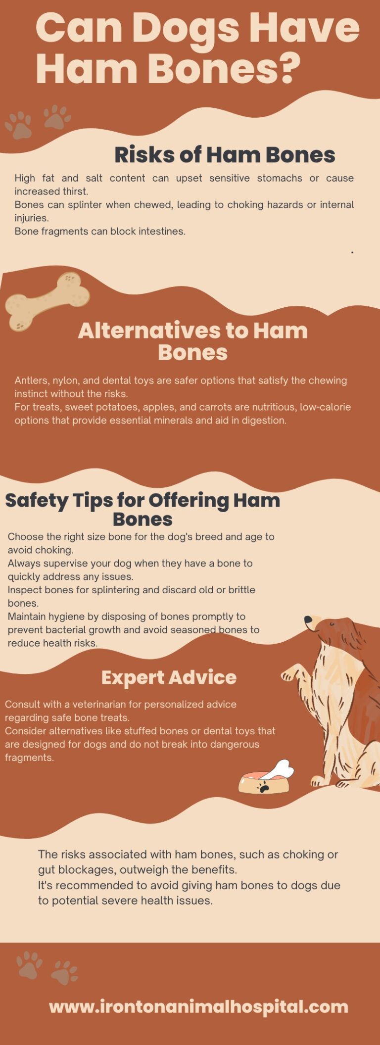 Can Dogs Have Ham Bones? What You Need to Know for Their Safety