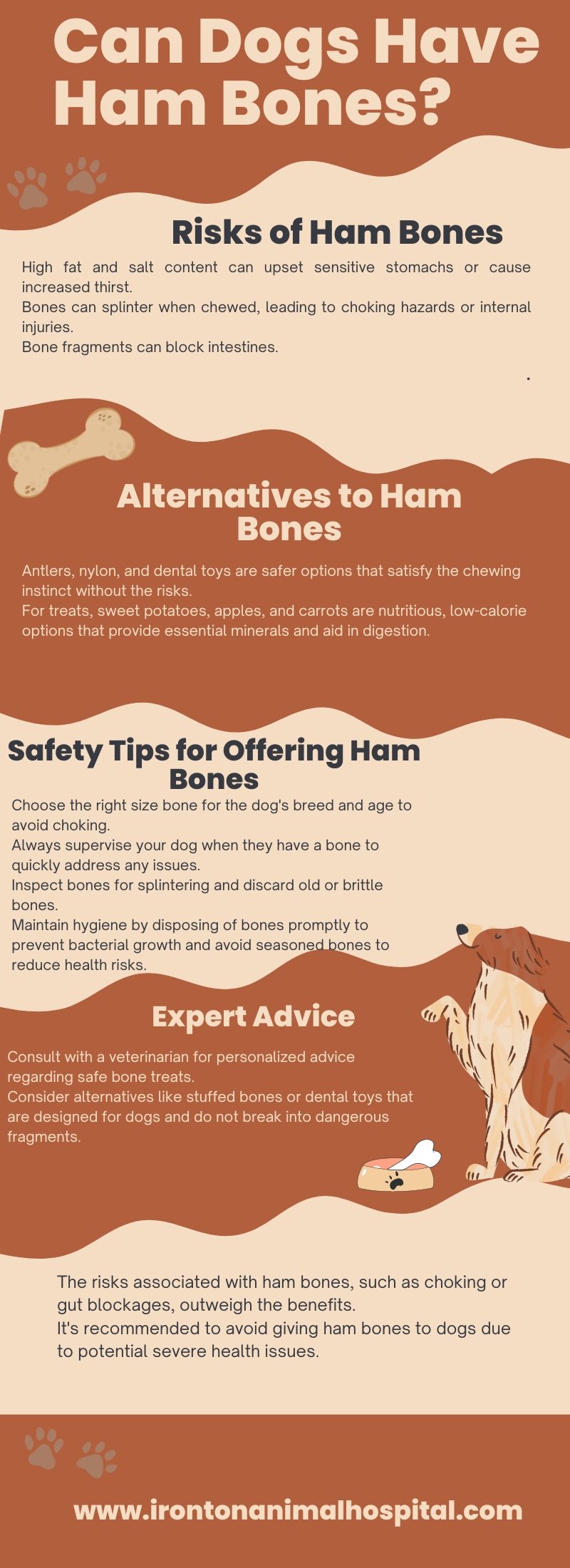 Can Dogs Have Ham Bones ingographic infographic