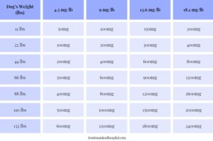gabapentin dose dog vet