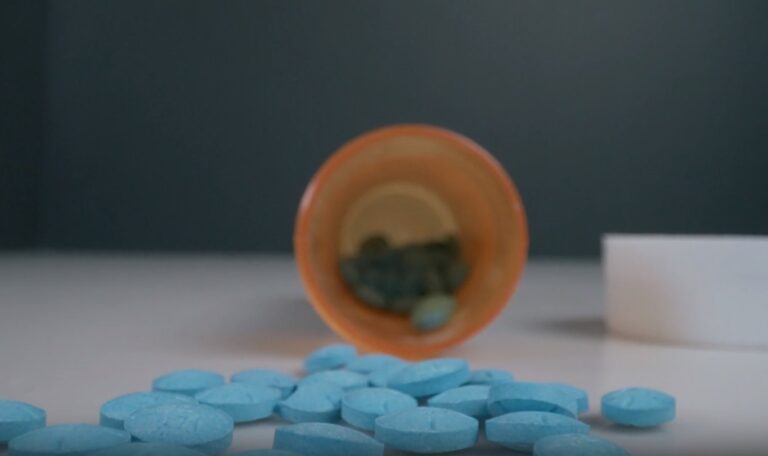 gabapentin in veterinary medicine