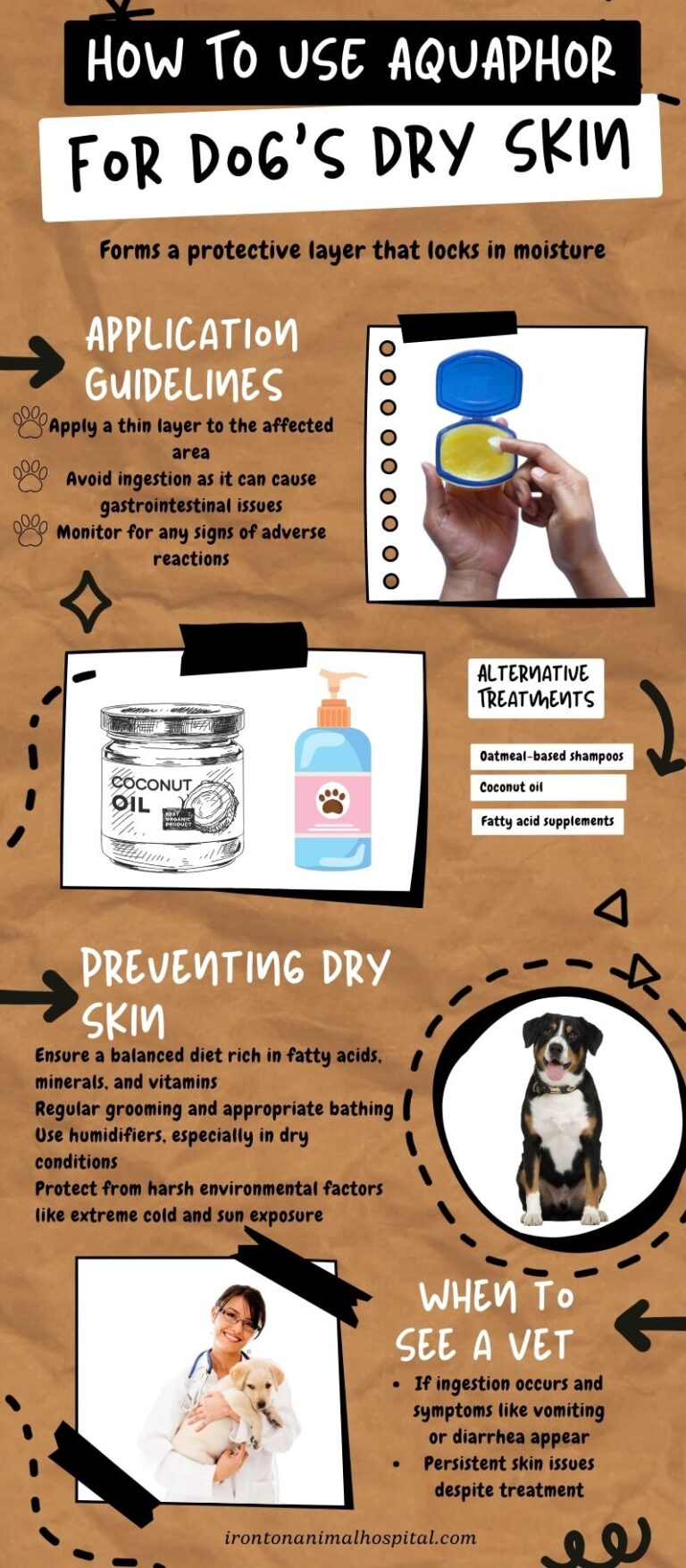 How to Safely Use Aquaphor on Dog’s Dry Skin Do It Without Any Side