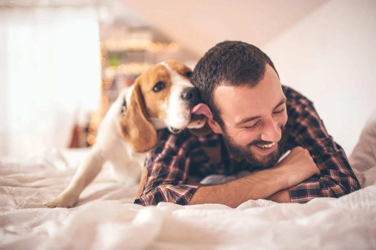 Clever Reasons Why Your Dog Licks Your Ears