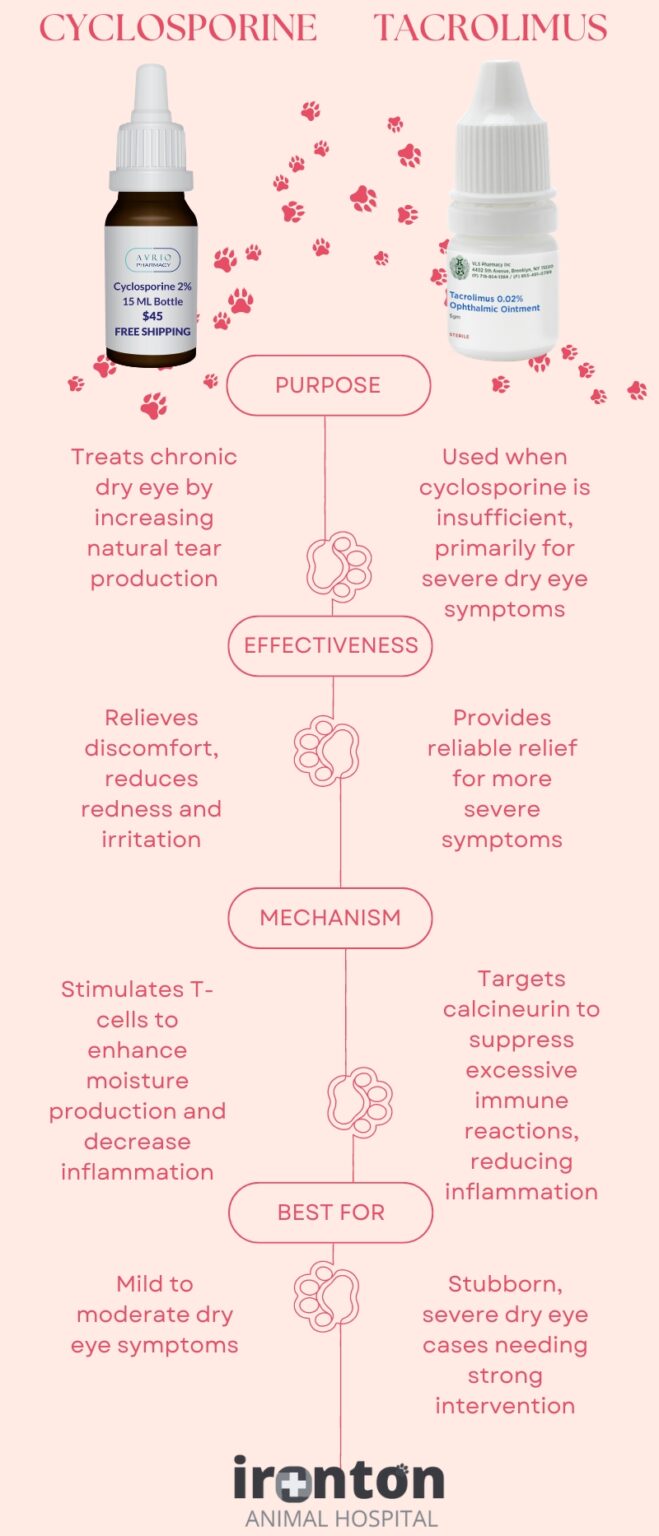 Cyclosporine vs Tacrolimus Eye Drops for Dogs Choosing Wisely