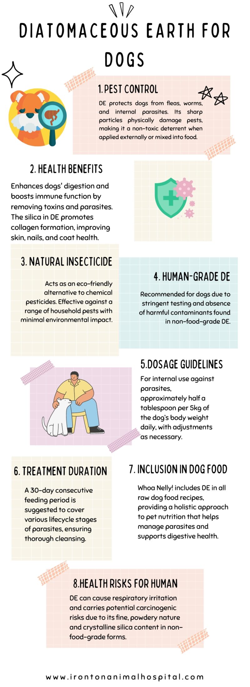 Diatomaceous Earth for Dogs infographic