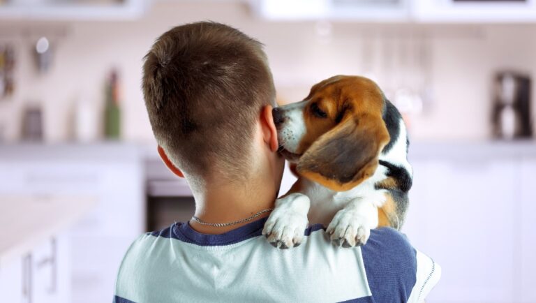 Boy holding a dog in his arms while the dog licks his ear