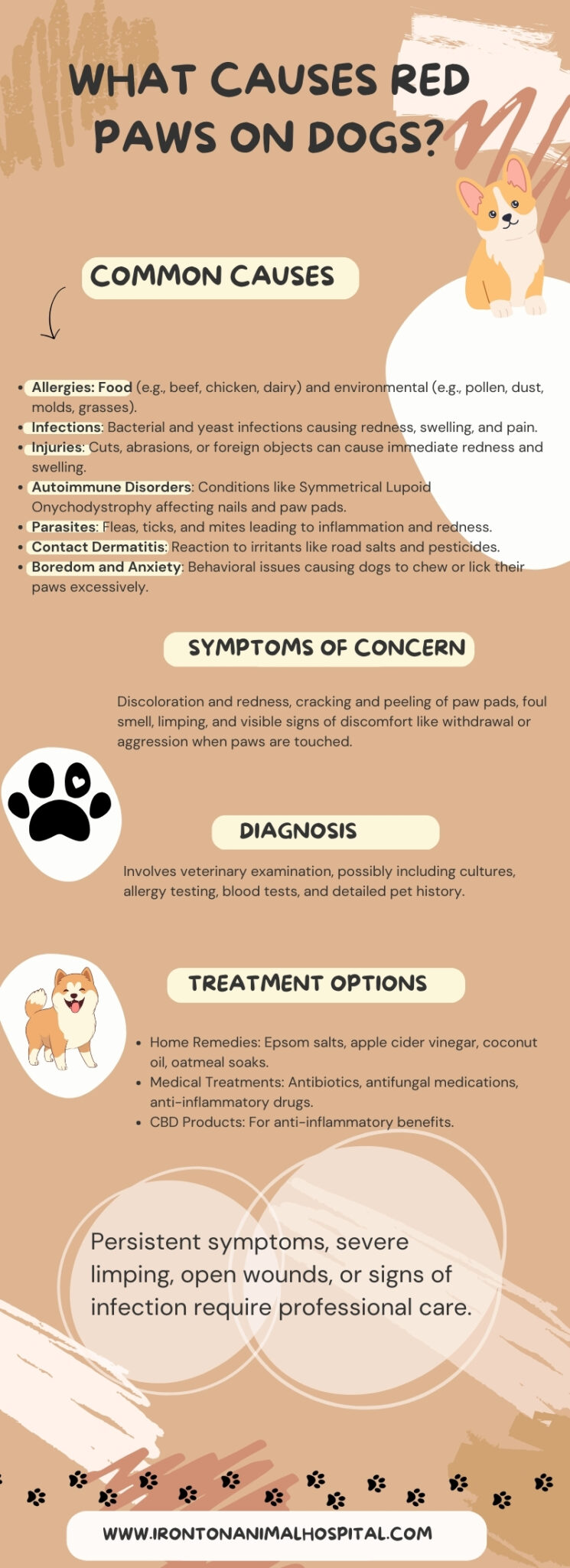 What Causes Red Paws On Dogs And How To Treat It? - Ironton Animal Hospital