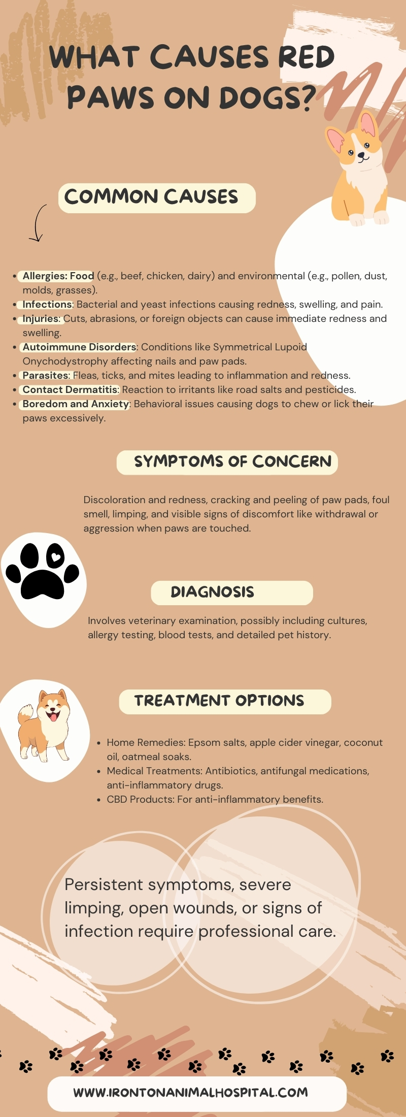Red Paws on Dogs infographic