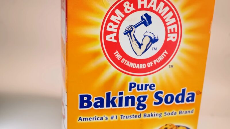 Salt and Baking Soda for Fleas