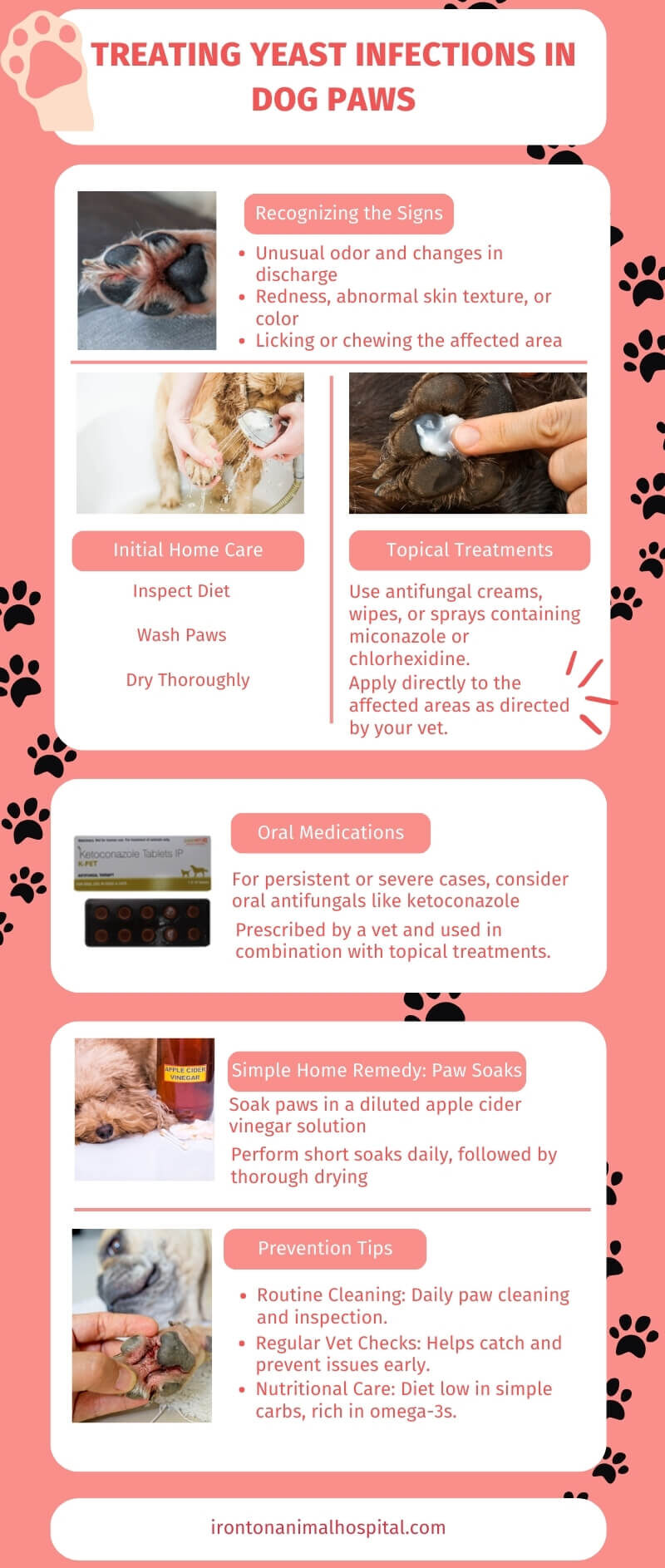yeast infection in dog paws